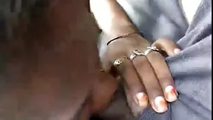 పెకోసా