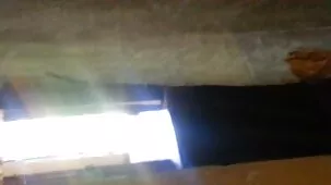 లెక్సీ
